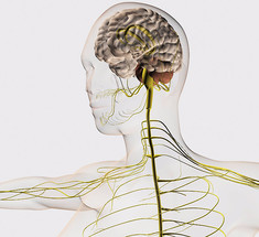 9 кинезиологических упражнений, которые заставят мозг работать на полную мощность