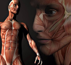 100 странных и интересных фактов о человеческом теле