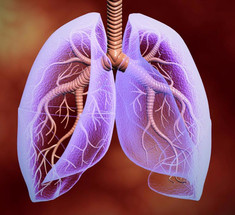 Рэй Пит: Физиология дыхания — ключ к пониманию основных патологий всех органов