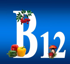 B12  необходим для каждой клетки организма