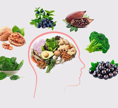 7 самых полезных продуктов для здоровья мозга