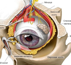 Пресбиопия: «климакс» глаз у мужчин и женщин