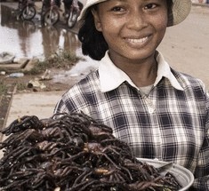 Камбоджийский деликатес