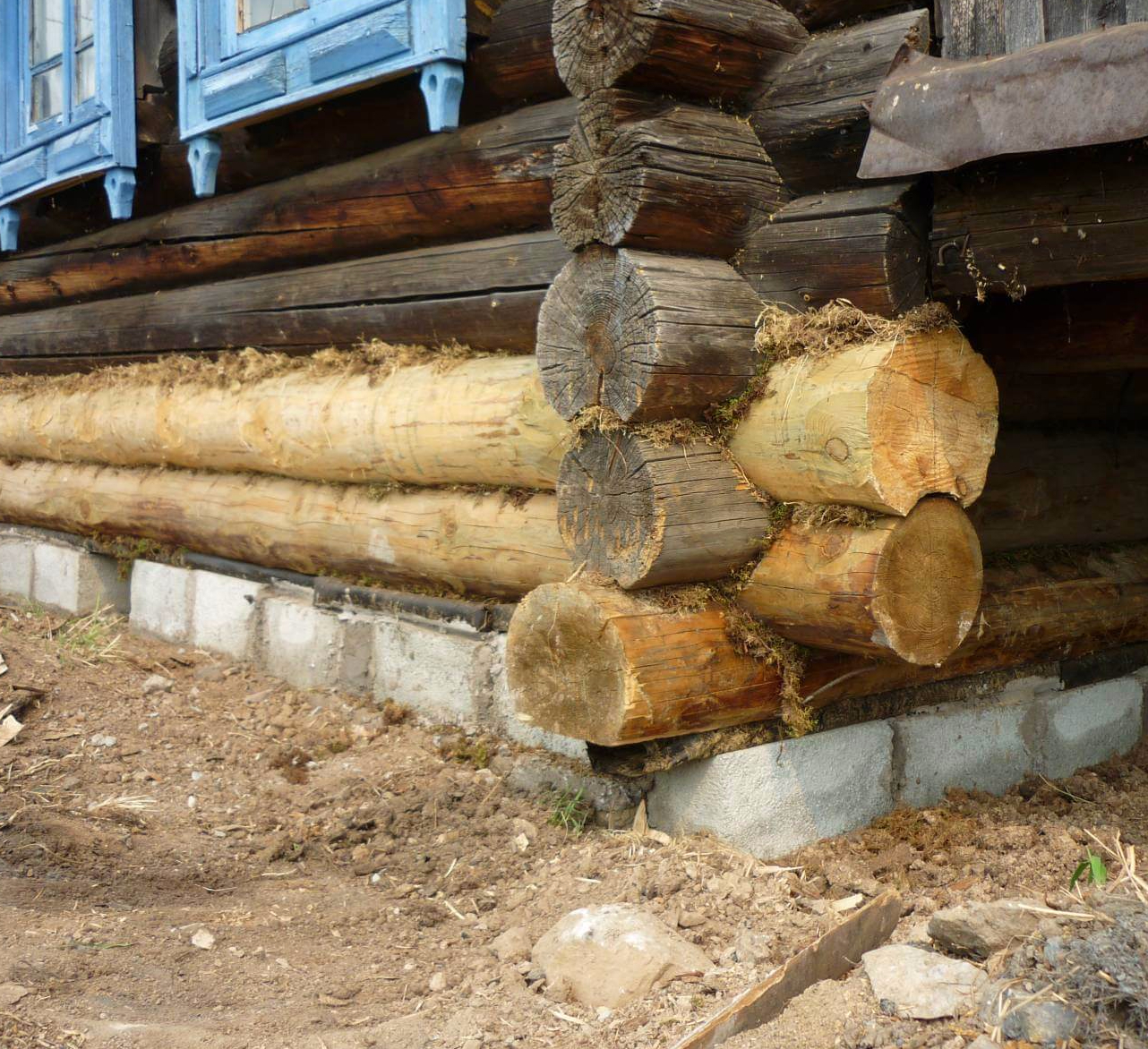 нижние венцы деревянного дома