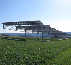 Симбиоз сельского хозяйства и солнечной энергетики или агрофотоэлектрика по-немецки