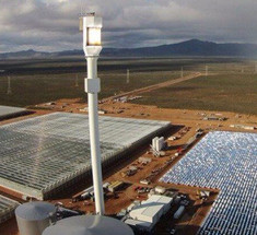 Фермеры из Австралии выращивают овощи с помощью солнечной энергии в пустыне