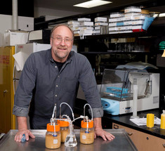 Ученые добывают этанол с помощью бактерии