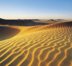 Можно ли превратить пустыню Сахару в гигантскую солнечную батарею?