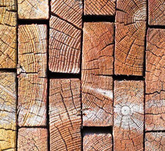 Разработан способ сделать древесину такой же прочной, как сталь