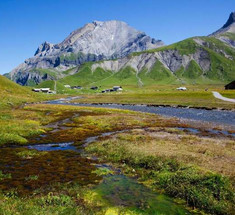 Микропластик есть даже в почвах Швейцарских гор