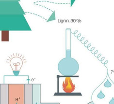 Лигнин: сверхзеленое топливо для топливных элементов