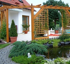 Шпалера - стильное украшение сада