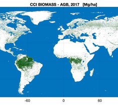 Новая карта биомассы для анализа углерода в мире