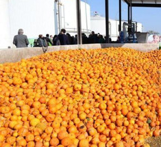  Апельсины для питания станции очистки сточных вод
