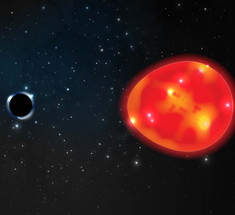 «Единорог» может быть самой маленькой и самой близкой к Земле черной дырой