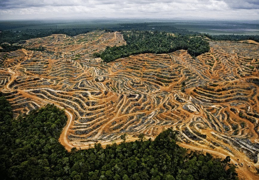 Остров зеленых катастроф Остров зеленых катастроф