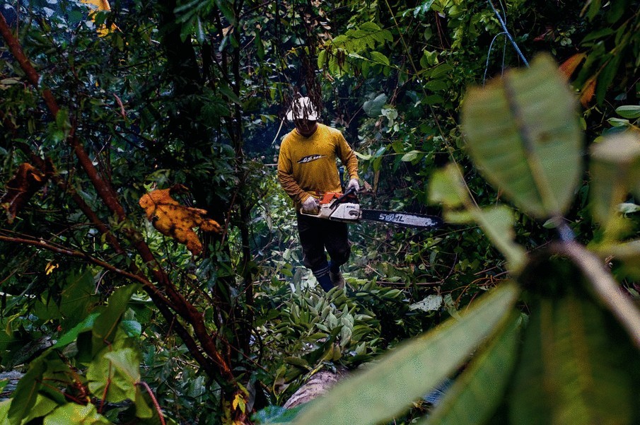 Остров зеленых катастроф Остров зеленых катастроф