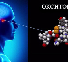 Гормон окситоцин: светлая сторона силы