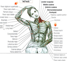 9 упражнений из восточной медицины для снятия боли в шее