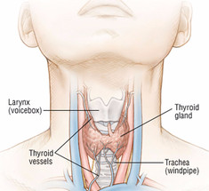 Постукивание по щитовидной железе и еще 6 полезных кинезиологических упражнений