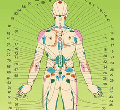 Зоны Захарьина-Геда: проекции внутренних органов на коже