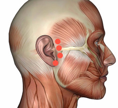 Точки, которые быстро избавят от боли в ухе
