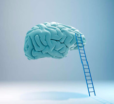 Тренировка для мозга: 7 стратегий для гибкости ума