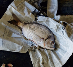 Рыбные тонкости: Как определить свежесть, секреты хранения и приготовления