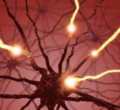 Зеркальные нейроны: терапия «действия и наблюдения» после инсульта, травм и аварий