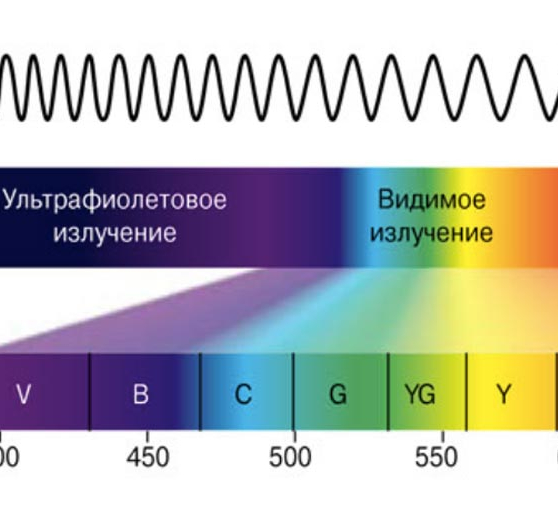 Действие видимых лучей. Ультрафиолетовое излучение шкала. Видимое излучение ультрафиолетовое излучение. Синий свет излучение. Таблица УФ излучения.