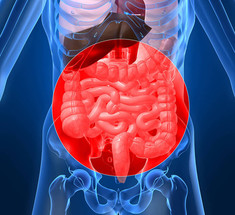Гастроптоз: причины и последствия опущения желудка и толстого кишечника