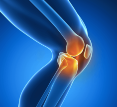 Упражнения при боли в коленях: что можно и что нельзя
