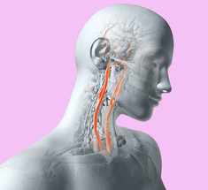 Базовая пятерка: Полезные пищевые добавки, которые нужно принимать всем