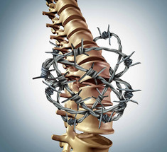5 упражнений от боли в спине: Советы специалиста по акупунктуре 