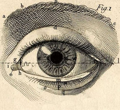 Как зарождаются ВСЕ болезни глаз
