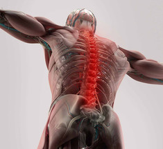 Базовые упражнения при боли в спине