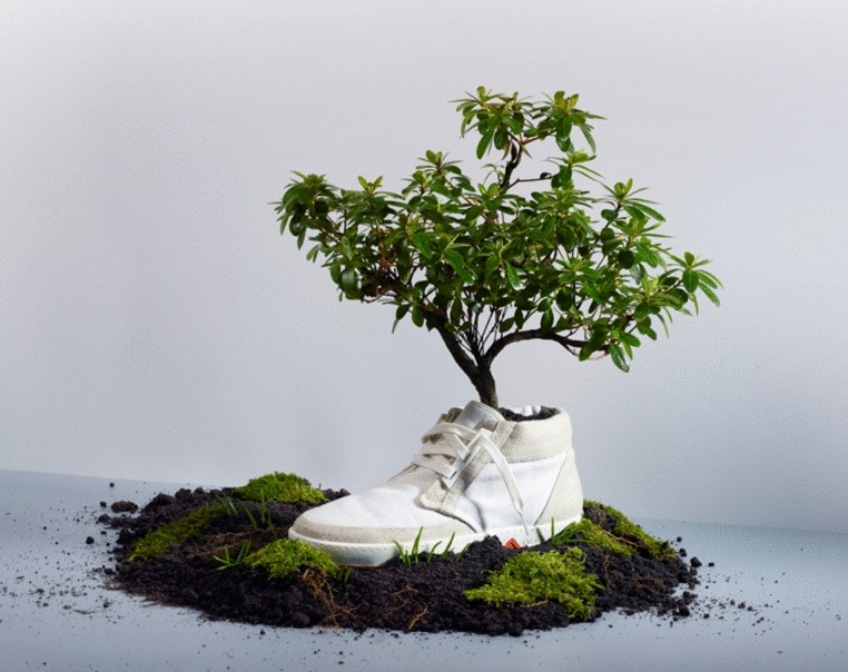 Экологичная обувь для вегетарианцев