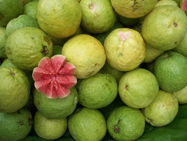 Гуава-самый полезный в мире плод