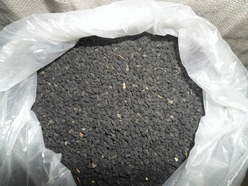 Польза, свойства и применение масла черного тмина