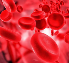 7 важных моментов, о которых расскажет ваша группа крови