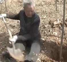 70-летний безногий ветеран посадил за 19 лет 17 000 деревьев