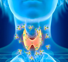 Здоровье щитовидной железы: 8 золотых правил 