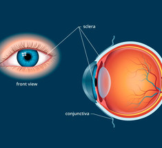 Как сохранить глаза здоровыми на долгие годы?