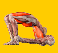 Губка Райха: упражнение, которое снимает давно забытые зажимы