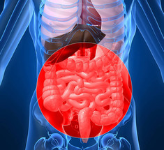 Синдром раздраженного кишечника: 6 натуральных добавок при СРК