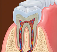 Биохакинг: белые зубы и оптимальное здоровье полости рта