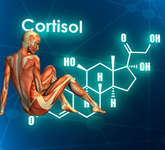 Кортизол повышен: естественные способы понизить гормон стресса