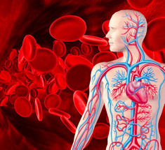 Низкий гемоглобин: симптомы и неочевидные нюансы питания
