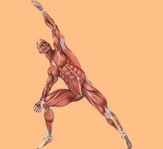 Кислородная гимнастика Оксисайз: 4 лучших упражнения для похудения