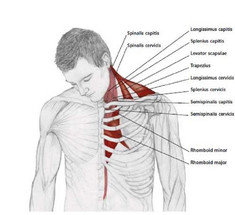 Техника расслабления для снятия напряжения в шее